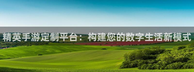 摩根娱乐登陆：精英手游定制平台：构建您的数字生活新模式