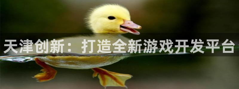 摩根娱乐是个什么平台啊：天津创新：打造全新游戏开发平台