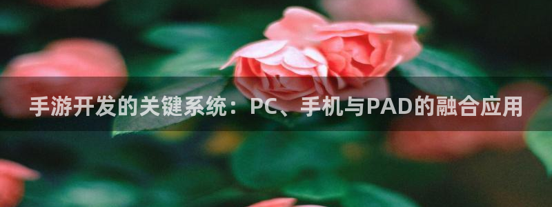 摩根娱乐这个平台怎么样呀知乎：手游开发的关键系统：PC、手机