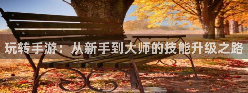 摩根娱乐挂机项目怎么样：玩转手游：从新手到大师的技能升级之路