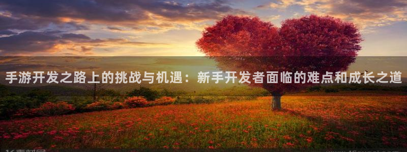 摩根娱乐云挂机：手游开发之路上的挑战与机遇：新手开发者面临的