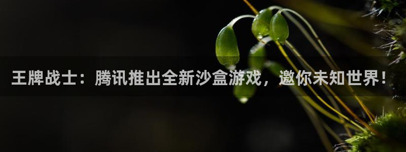摩根娱乐官网入口：王牌战士：腾讯推出全新沙盒游戏，邀你未知世