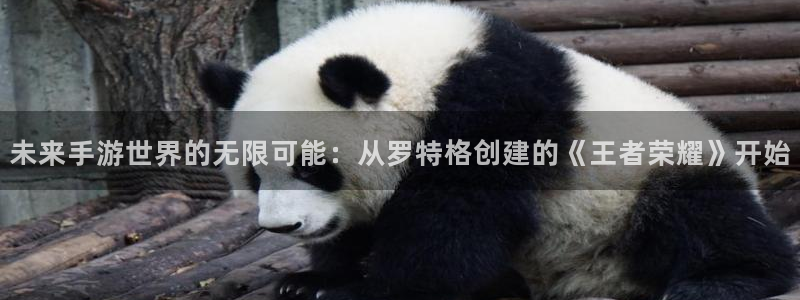 摩根娱乐登录：未来手游世界的无限可能：从罗特格创建的《王者荣