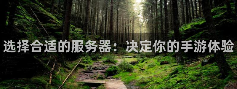 摩根娱乐官网入口网址：选择合适的服务器：决定你的手游体验